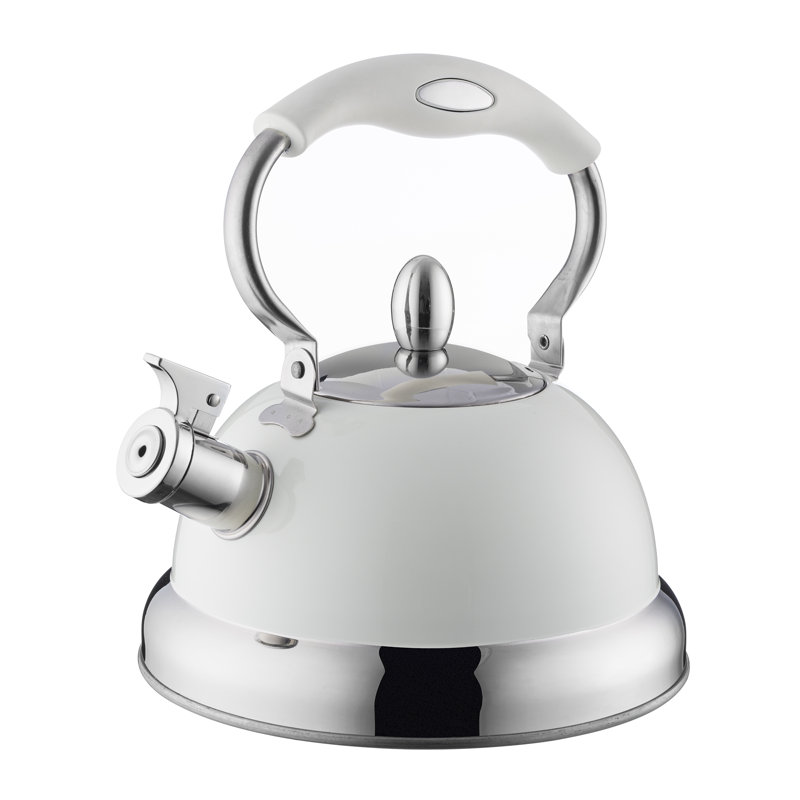 Typhoon 2.5 L Stainless Steel Whistling Stove Top Kettle & Reviews